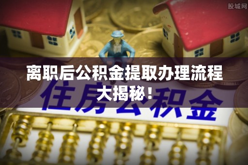 绿园离职后公积金提取办理流程大揭秘！